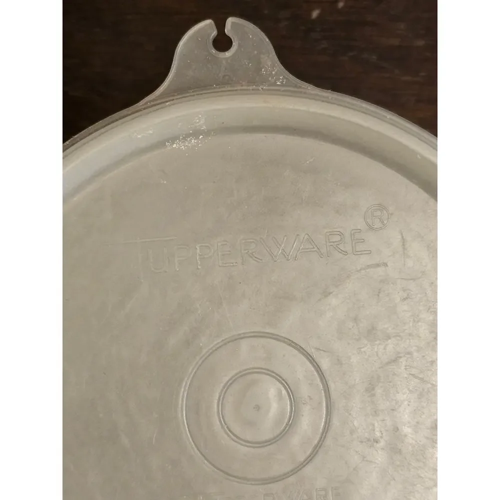 VTG 1970s TUPPERWARE Round Storage Container 250-21 & Lid 215-49 Frosted Clear